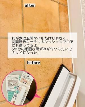 ベテラン主婦があえて１００均以外で買う掃除グッズ５選　「一緒です」「私も」