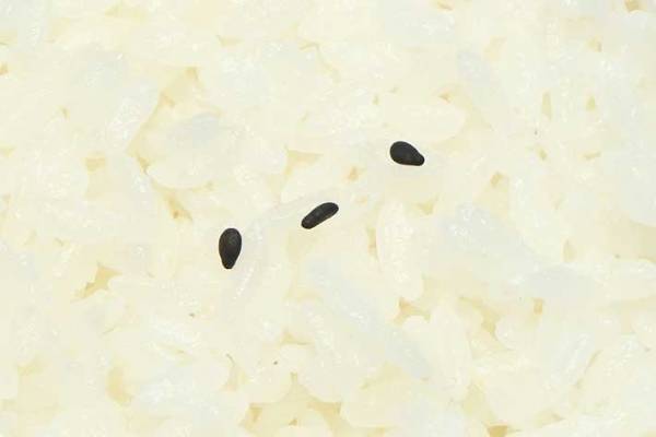 あまりにシンプルな『キャラ弁当』　その質素な見た目に「虚無すぎる」「かわいい」の声