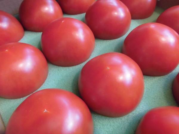 スーパーのトマト　どれが新鮮？　ポイントに「考えたことなかった」「そこ？」