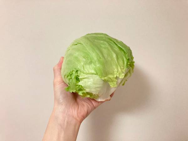 JA全農のレシピでレタスを大量消費！　超お手軽レシピが、こちら