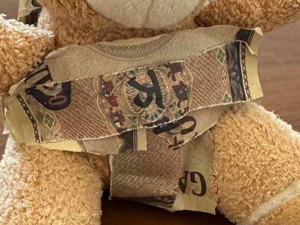 「クオリティ高すぎ」「ダマされた」　５歳の女の子が作った服の『素材』にネット騒然