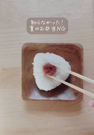 お弁当の保冷剤、上と下どっちに置くべき？　正解に「初めて知りました」「間違ってた」