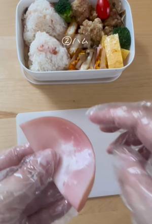 お弁当の保冷剤、上と下どっちに置くべき？　正解に「初めて知りました」「間違ってた」