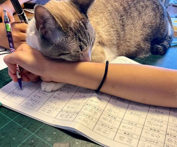 宿題を進めていた娘「次の漢字が書けん…」　その時の光景に、ニッコリ