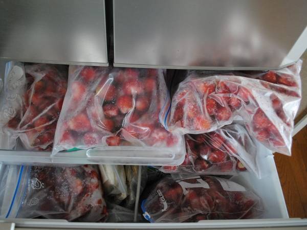 ぎゅうぎゅうの冷凍庫　空きを確保する方法に「コレはいい」「革命」