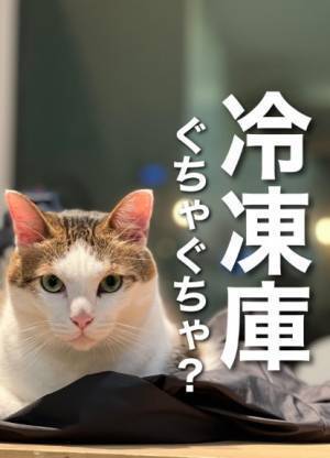 ぎゅうぎゅうの冷凍庫　空きを確保する方法に「コレはいい」「革命」