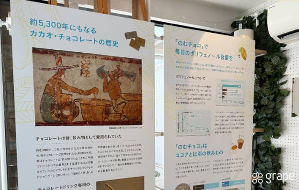 板チョコよりも定番！？チョコレートの新しい食べ方は？