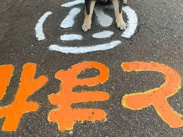 路面に書かれた『とまれ』の文字　そこで一時停止していたのは…？