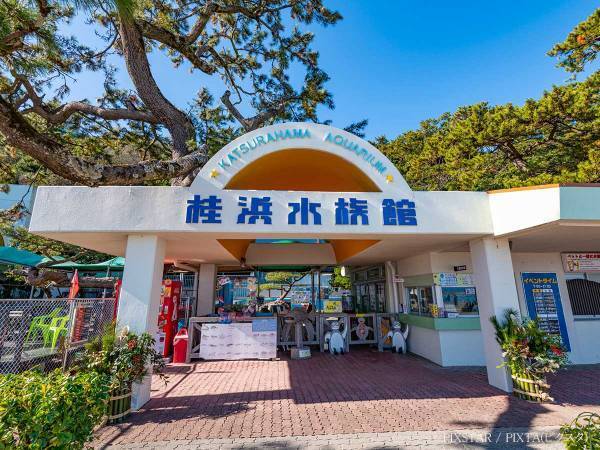 客「１６００円も払う価値ある？」　水族館スタッフの返答が「最高」「見習いたい」