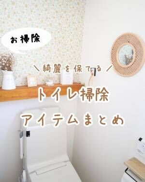 掃除が億劫な人ほど用意したい　トイレに備えておきたい７つのマストバイ