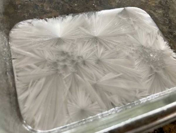 おうちで簡単に実験！　『いきなり氷る魔法の水』に、つい大人も夢中になった