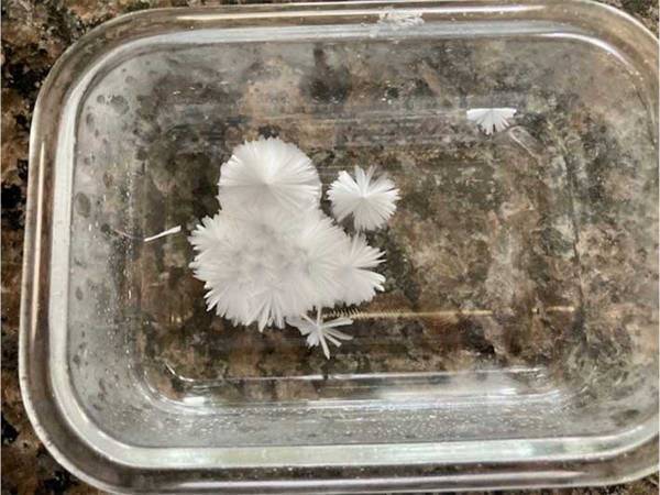 おうちで簡単に実験！　『いきなり氷る魔法の水』に、つい大人も夢中になった