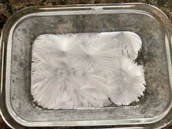 おうちで簡単に実験！　『いきなり氷る魔法の水』に、つい大人も夢中になった