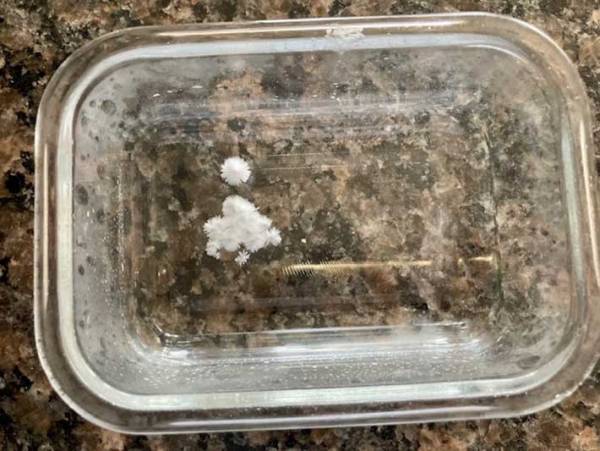 おうちで簡単に実験！　『いきなり氷る魔法の水』に、つい大人も夢中になった