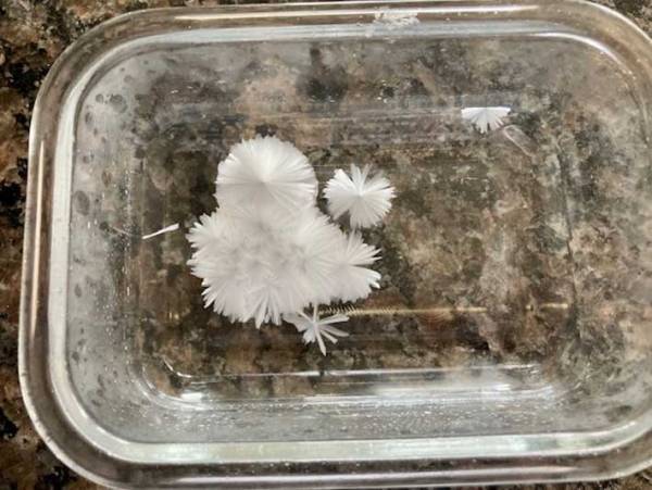 おうちで簡単に実験！　『いきなり氷る魔法の水』に、つい大人も夢中になった