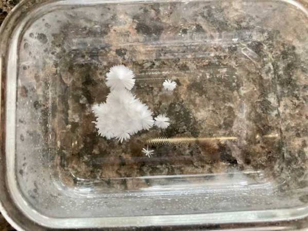 おうちで簡単に実験！　『いきなり氷る魔法の水』に、つい大人も夢中になった