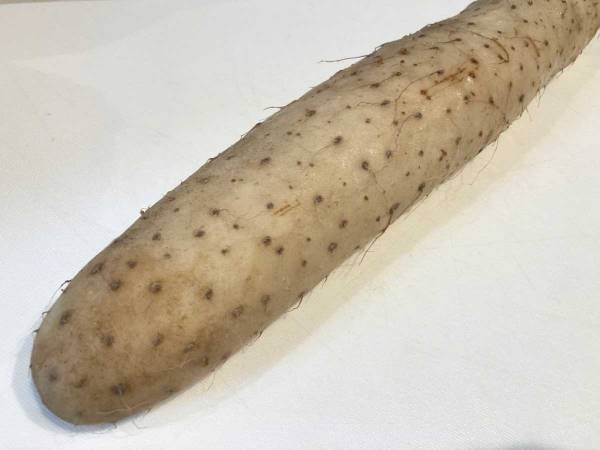 下処理するのが面倒な山芋　便利な保存テクに「その手があったかー！」