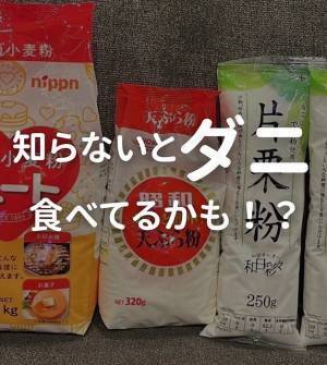 常温保存しがちな粉物　正しい保存法に「危なかった」「そのまま置いてた」