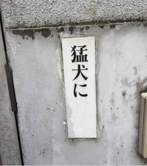 町中で見つけた『猛犬に…』のプレート　しかし、何やら様子がおかしくて？