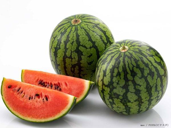 スイカの種を飲み込むと、お腹で発芽する？　農園の回答「発芽はしない。でも…」
