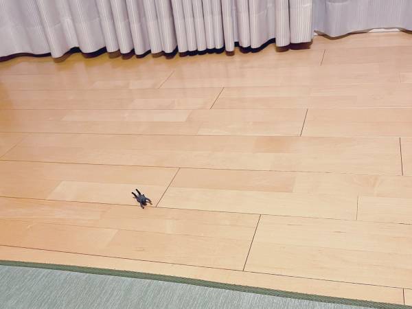 「デカい虫かと思ってギョッとした」　まさかの正体に「電車で見るんじゃなかった」「腹が痛い」