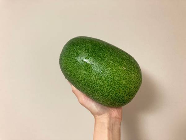 冬瓜はどう調理する？　JA全農が紹介する食べ方に「スーパーで見つけたら買う」「作らねば」