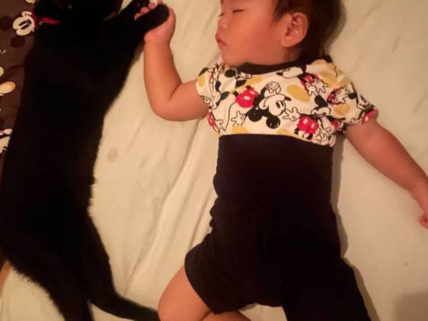 １歳児と愛猫が寝室で大騒ぎ　急に静かになったワケに「疲れが吹っ飛んだ」「なんて尊いの」