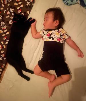 １歳児と愛猫が寝室で大騒ぎ　急に静かになったワケに「疲れが吹っ飛んだ」「なんて尊いの」