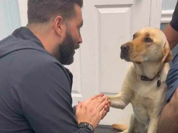 ケガをした足を見せてくれない犬　獣医師がとった『行動』に「素晴らしいドクター」