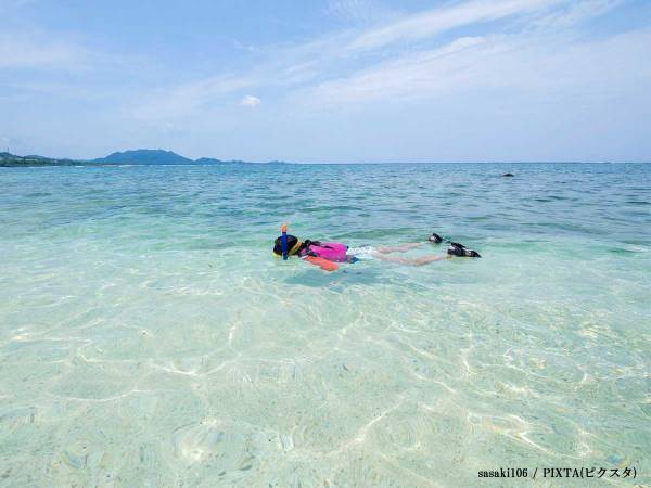 「重い罪が科されます」「海へ返してください」　海のレジャーについて内閣府が注意喚起