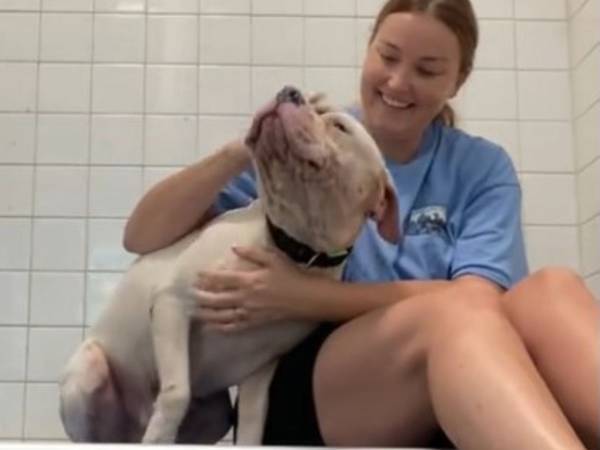 「今日とんでもないことが起きた」　ボランティアの女性が保護犬と遊んでいたら…？