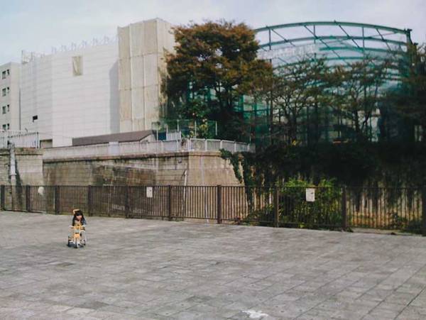 初代iPhoneの写真が「レトロ感すごい」と話題　まるで『写ルンです』で撮ったみたい