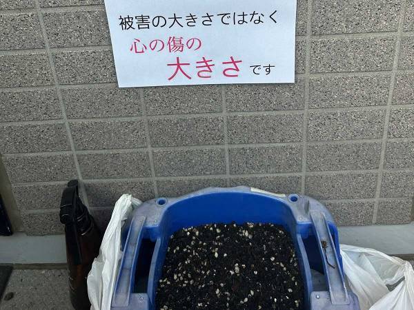 ホウセンカを育てる子供に悲劇　ある朝水をやりに行くと？　「コレは酷い」「本当にかわいそう」