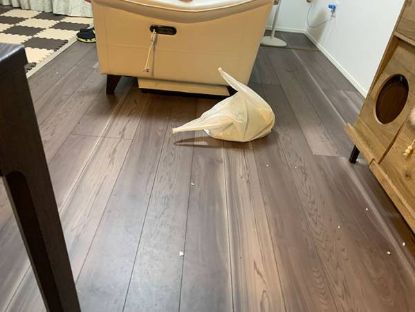 『猫』に話しかけた飼い主　一切反応がなかった理由が？　「二度見しました」「やだ～！」