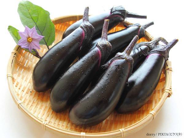 栄養面でも優れている『夏茄子』の季節　茄子は秋になると一層おいしくなる