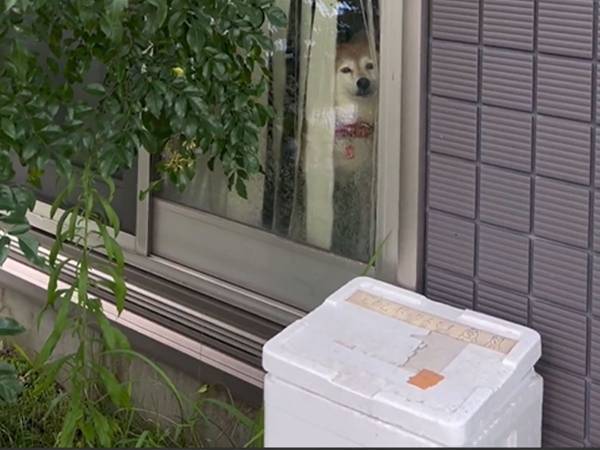 「仕事を辞めたくなる理由はコレ」　１本の動画に「分かる」「泣きたくなるよ～！」