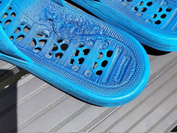 ベランダに出ようとしたらゾッ…　日本の夏に「戦慄した」「ゾッとさせられる」