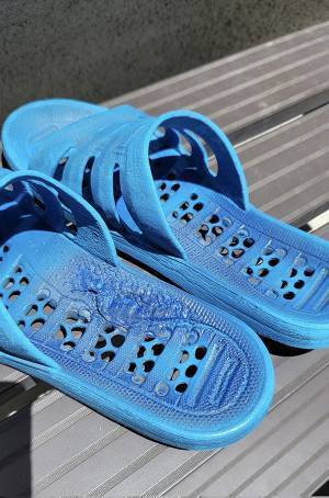 ベランダに出ようとしたらゾッ…　日本の夏に「戦慄した」「ゾッとさせられる」