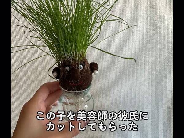 栽培キットの草を美容師がカットすると？『ビフォーアフター』に「笑った」「似合う！」