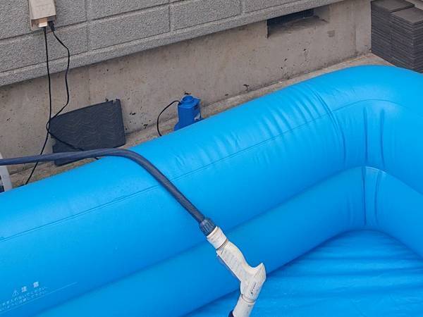 猛暑の中、ビニールプールを準備　視線の正体に「表情に吹いた」「悲壮感がすごい」