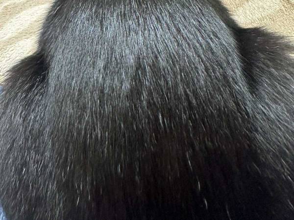 ツヤツヤの黒髪…と思いきや？　その正体に「うらやましい」「お見事」