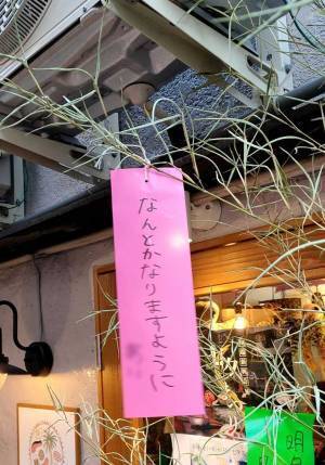 どストレートな『夢』が書かれた短冊に「同じこと考えててビビった」「人生楽しそう」