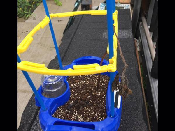 母親「歴史は繰り返される」　夏休みの宿題の危機に「爆笑した」「うちも同じ！」