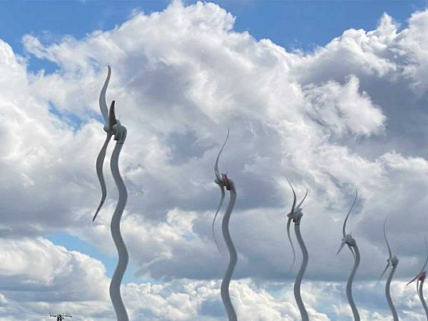 「どうしてこうなった」　北海道で撮影した写真に「これはこれでいい」「ダリの絵みたい」