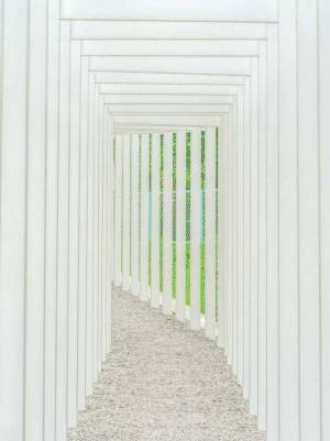 鳥居が真っ白！？　岡山県の寺で撮影された１枚に「神秘的で美しい」