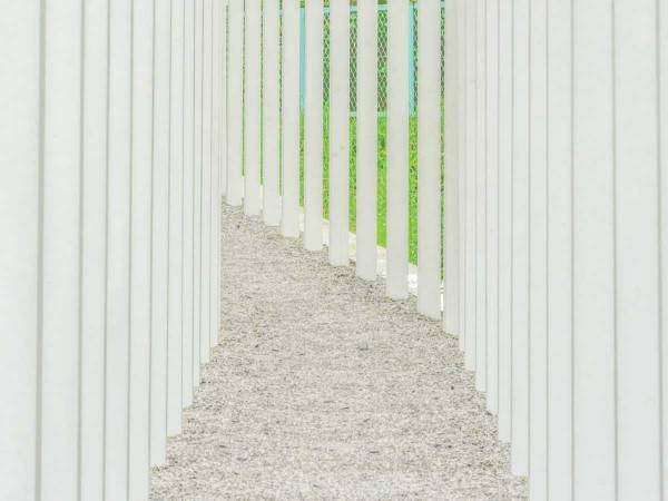 鳥居が真っ白！？　岡山県の寺で撮影された１枚に「神秘的で美しい」