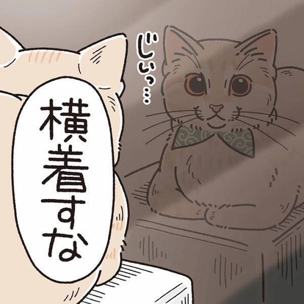 飼い主の呼びかけをなぜか無視する猫　理由に「笑いが止まらない」「コーヒー吹き出しそうになった」