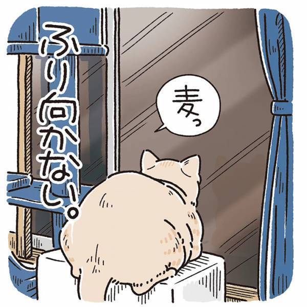 飼い主の呼びかけをなぜか無視する猫　理由に「笑いが止まらない」「コーヒー吹き出しそうになった」