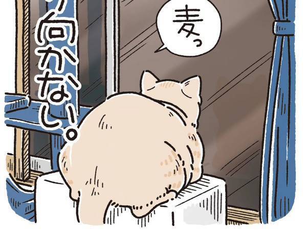 飼い主の呼びかけをなぜか無視する猫　理由に「笑いが止まらない」「コーヒー吹き出しそうになった」