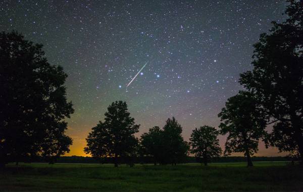 ８月１１日から見頃を迎える『ペルセウス座流星群』　最も多く流れ星が観測できる日は…